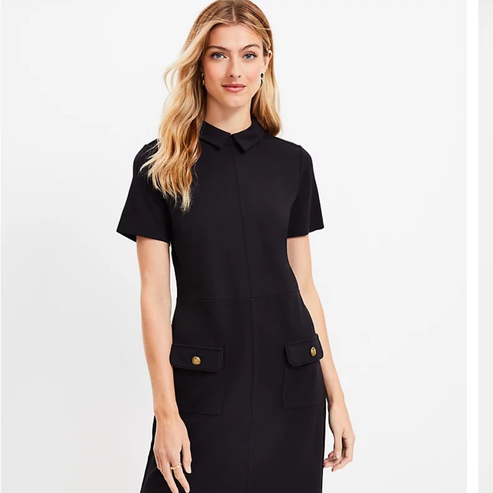 NWT Loft petite shift dress
